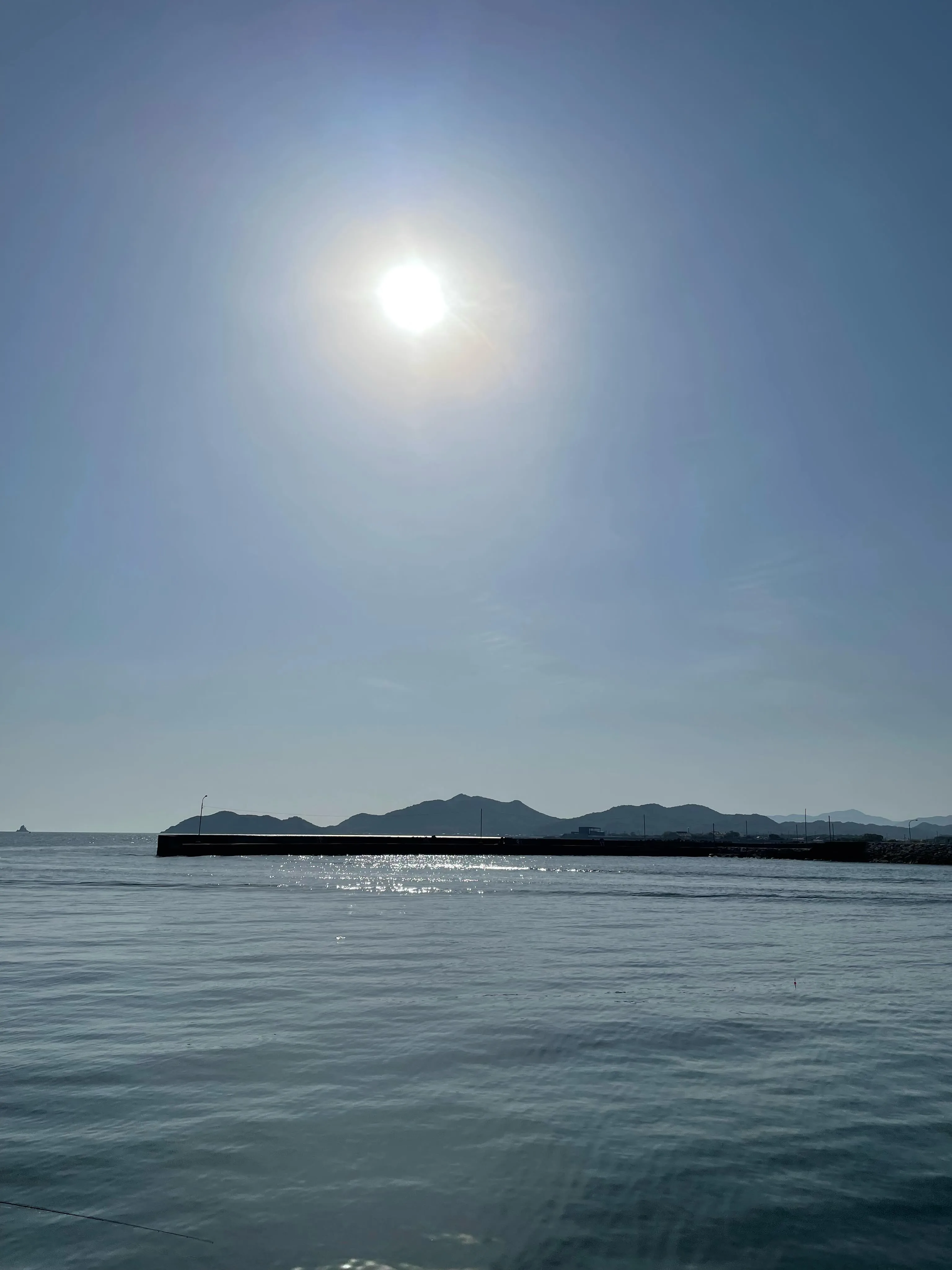 GWに行ったばかりですが、海でおいしい魚を釣って食べたい衝動...