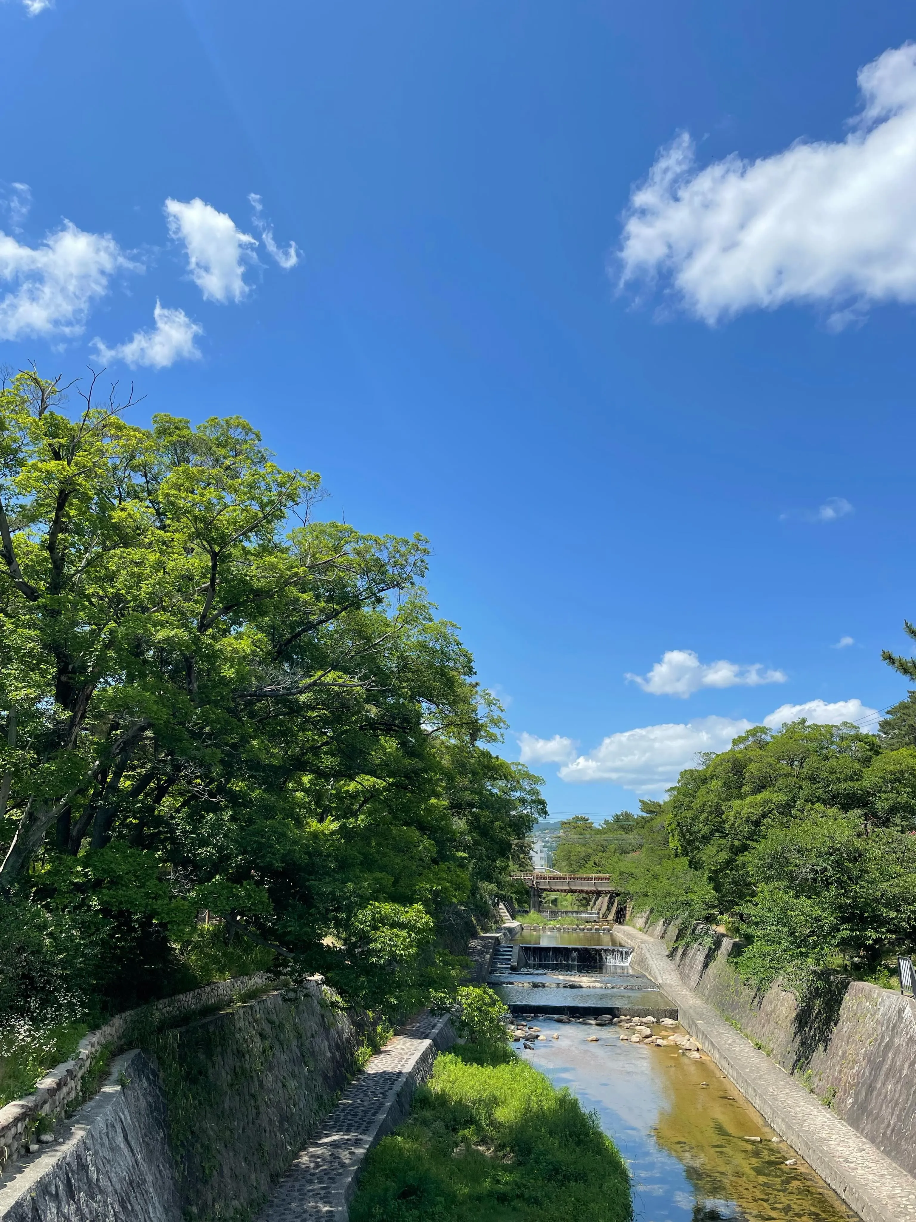 夏の気配がしてテンション上がっております。