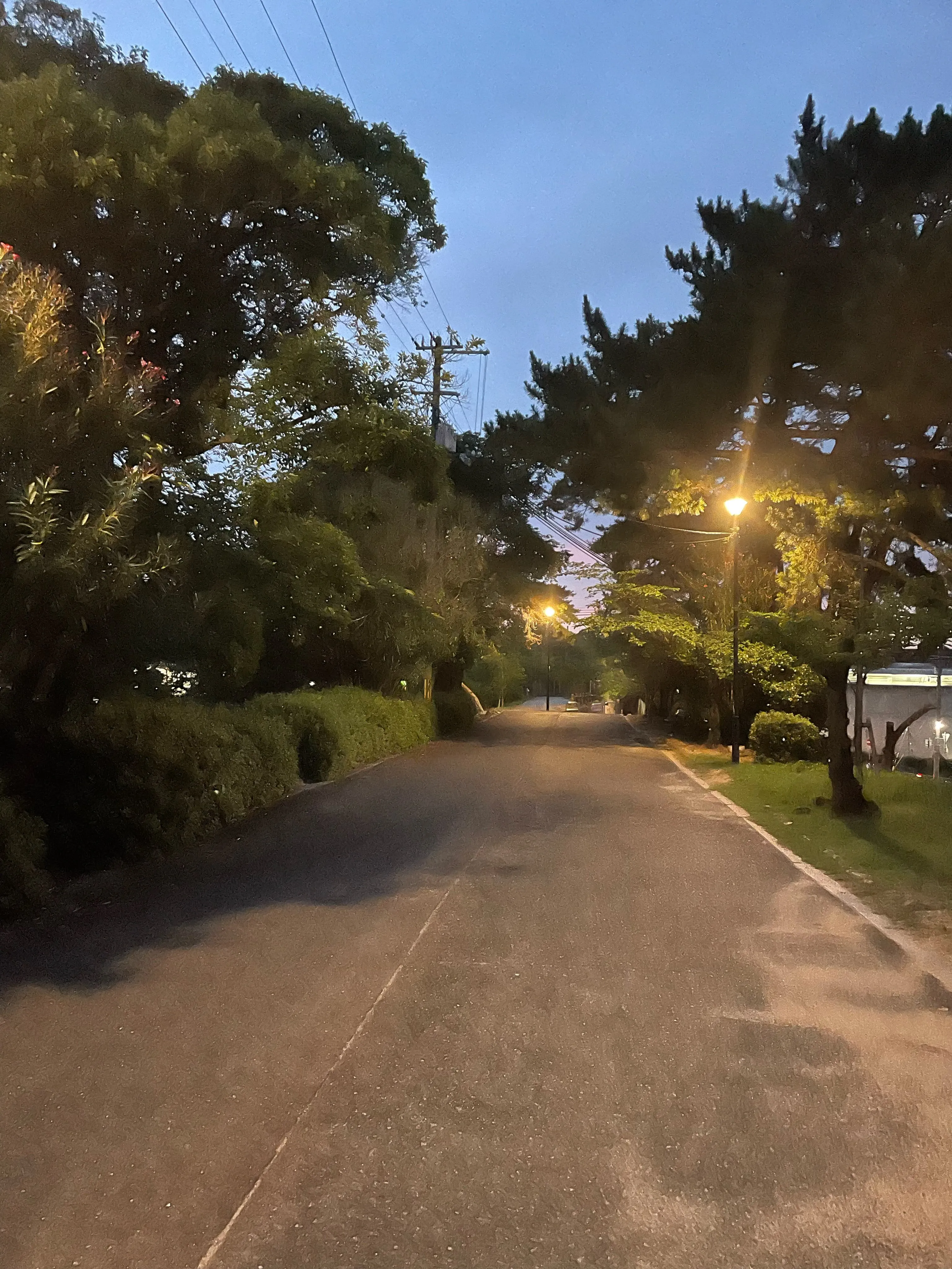 夜の夙川もなかなか良いのです…!