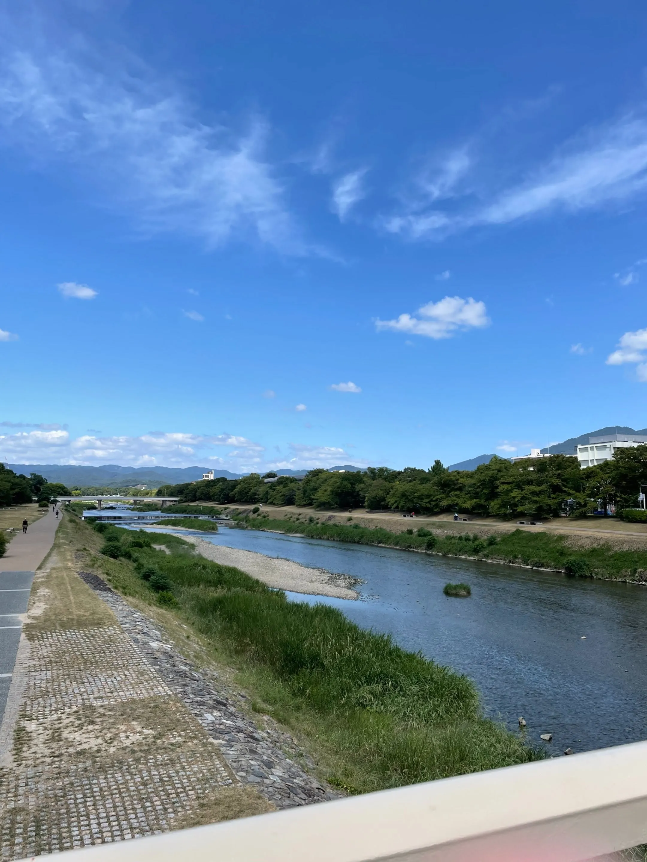 京都法務局近く、夏の鴨川、いい景色です!